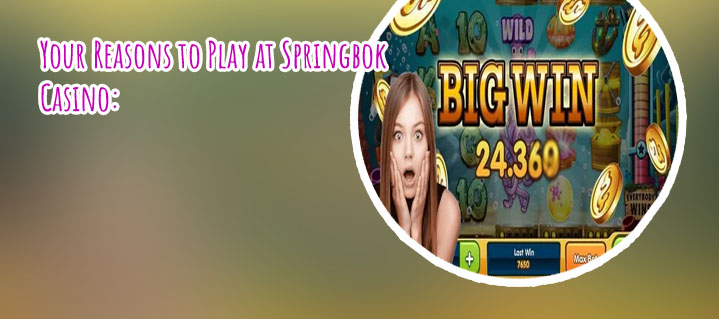 Free bonus code no deposit springbok casino