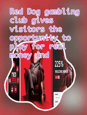 Red dog casino real money